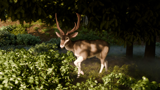 Deer