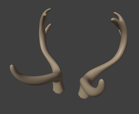Deer antlers